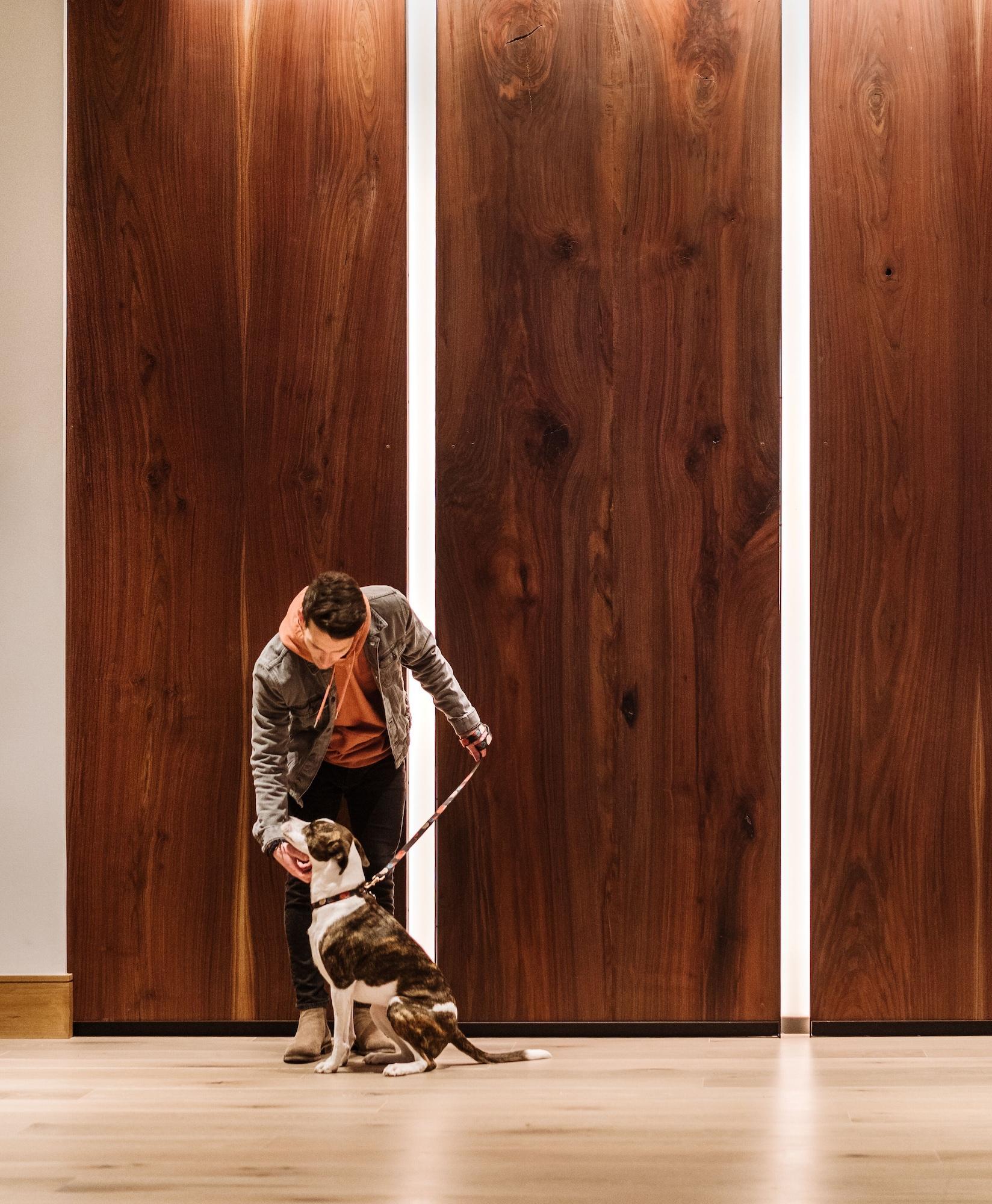 ホテル The Bidwell Marriott ポートランド エクステリア 写真