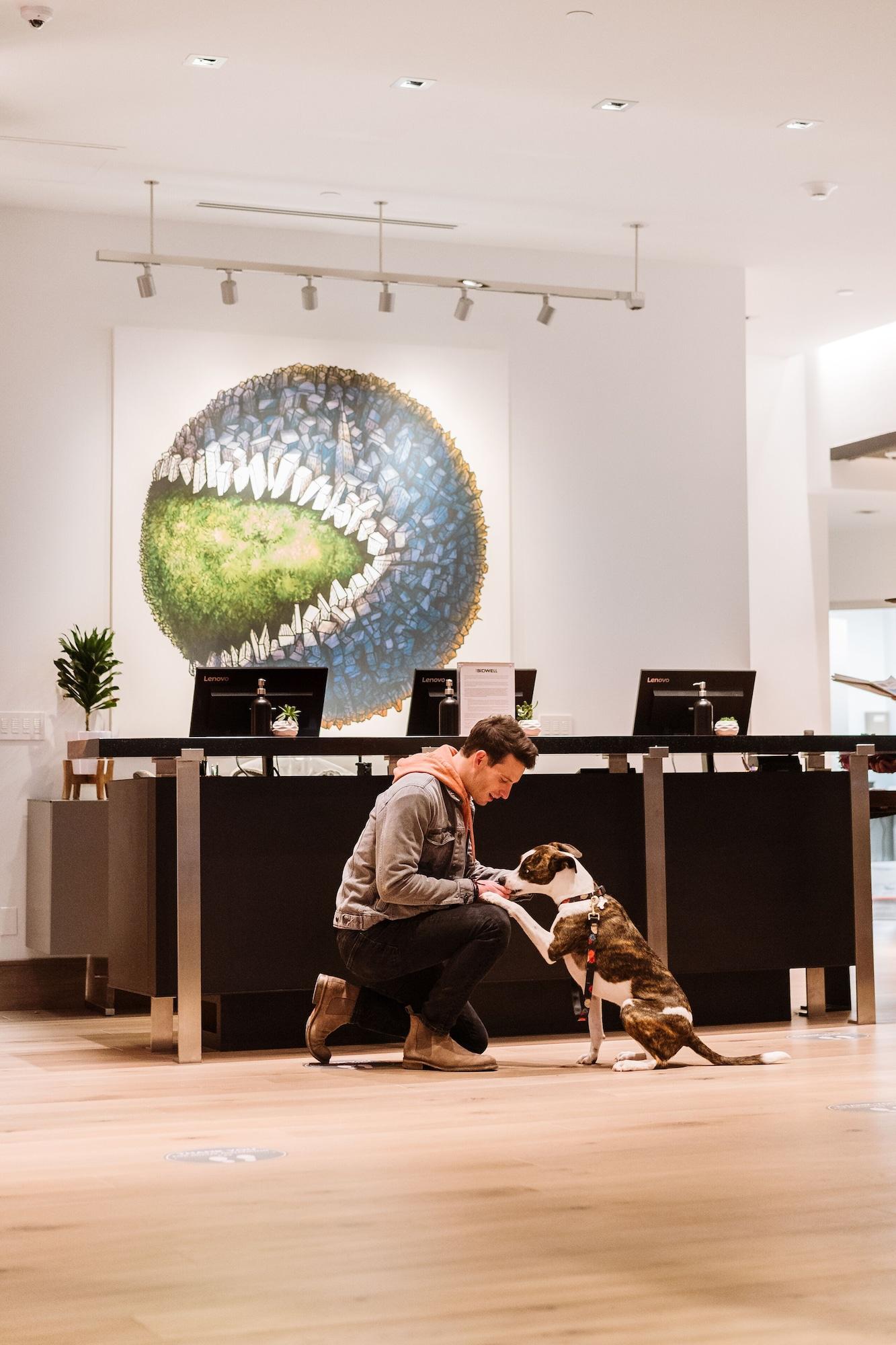 ホテル The Bidwell Marriott ポートランド エクステリア 写真